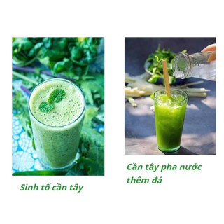 Bột cần tây sấy lạnh 40k/100g. 350k/kg