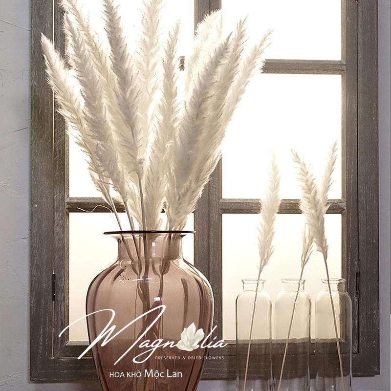 [Minhha]  Hoa trang trí ❤️FREESHIP❤️ Hoa khô Pampass Grass trang trí để bàn, phòng khách phong cách cổ điển 25 95