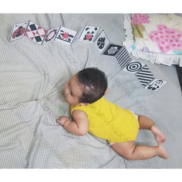 Bộ thẻ GẤP KÍCH THÍCH THỊ GIÁC CHO BÉ