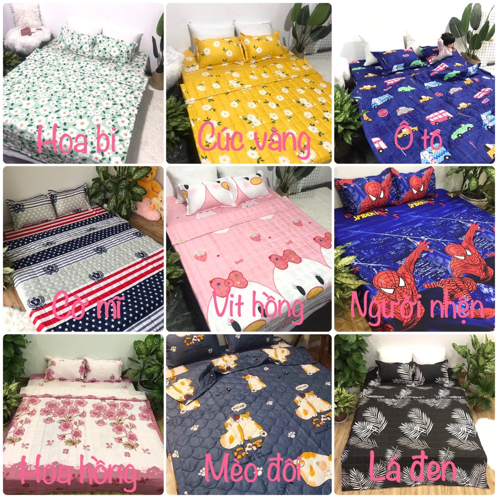 [Free ship-Xả hàng]Ga trải giường,drap ga giường poly cotton,mẫu gấu kẻ vàng