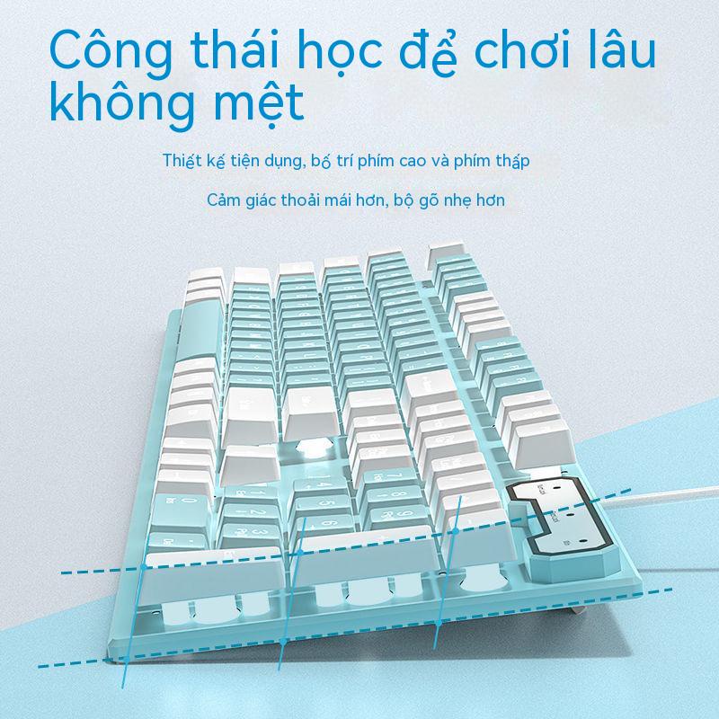 Bộ Bàn Phím Cơ Và Chuột Chơi Game Có Dây Không Gây Tiếng Ồn Cho Máy Tính