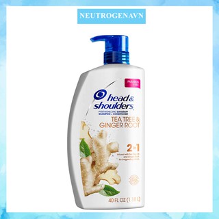 NEW - Dầu gội xả Head & Shoulders 2 in 1 - Tea Tree & Ginger Root ( 1.18L )