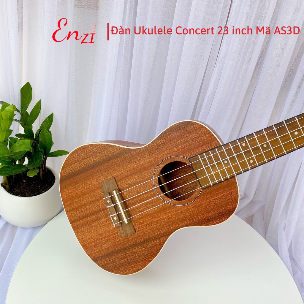 Đàn ukulele concert C18D Enzi 23 inch gỗ mộc viền tròn khóa đúc giá rẻ cho bạn mới bắt đầu tập chơi