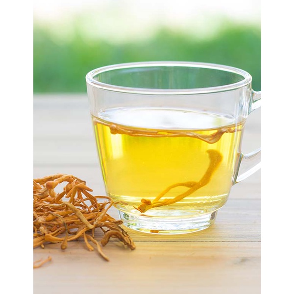 Đông trùng hạ thảo Dr Khỏe 4g