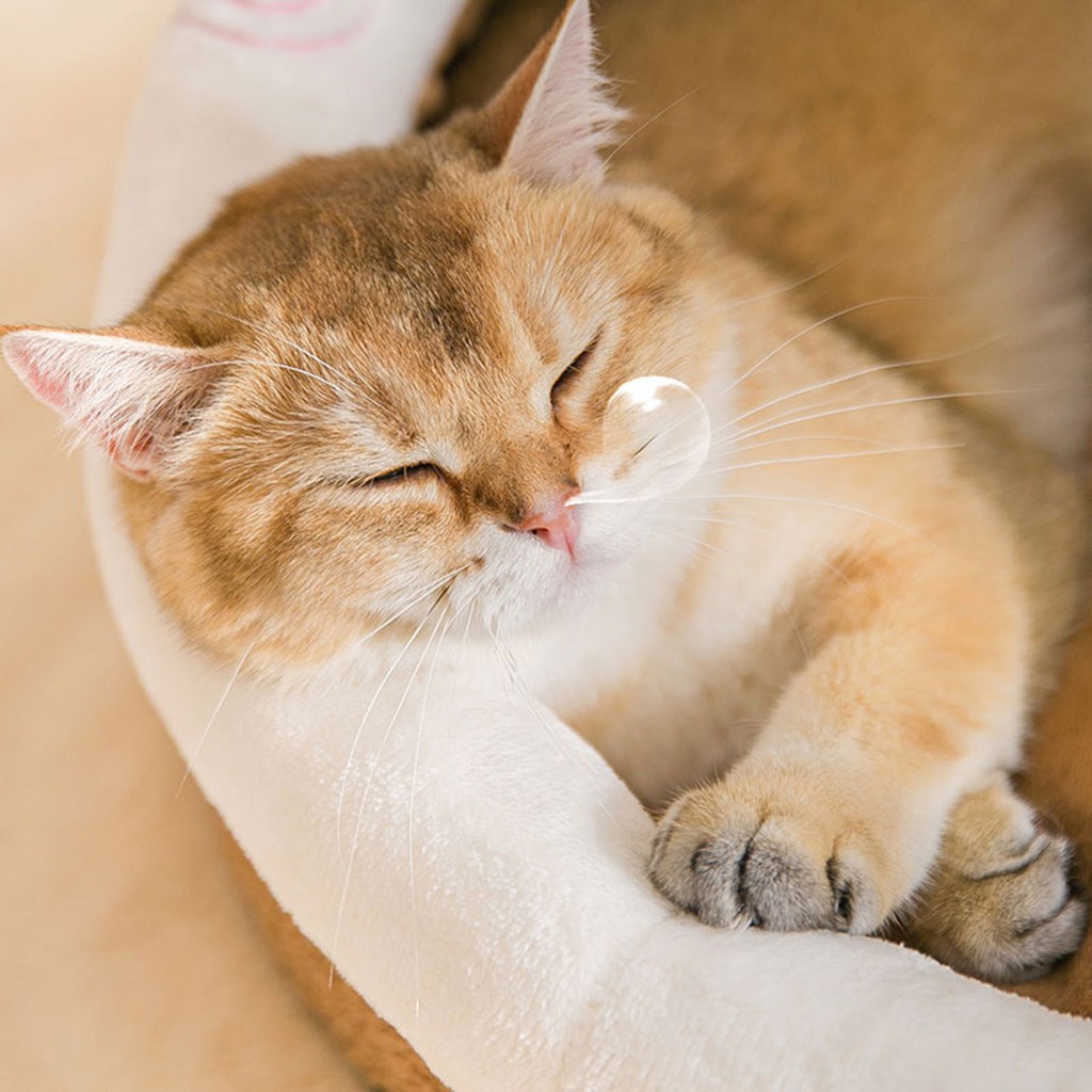 Giường Ngủ MềM MạI ẤM ÁP Cho Thú Cưng - Bộ 2 CáI