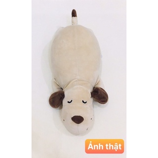 Gấu bông chó mềm mịn Miniso.