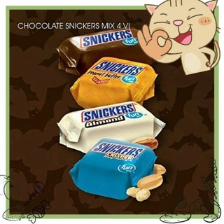 Kẹo socola SNICKERS MIX 4 VỊ FUNSIZE MỸ(994,8g)