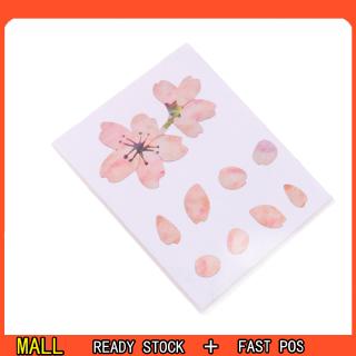 Decal dán tường hình đàn guitar & Ukulele họa tiết hoa anh đào