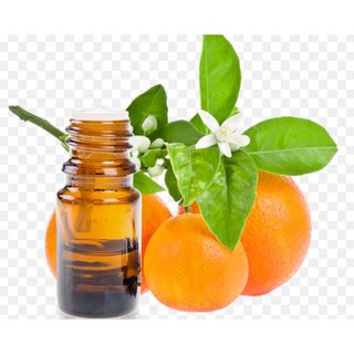 [XÃ TỒN KHO] Tinh Dầu CAM NGỌT 10ml - Orange