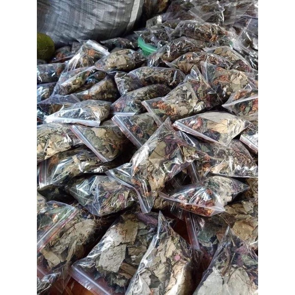 LÁ NAM GIẢM CÂN - CÔ GÁI NÚI