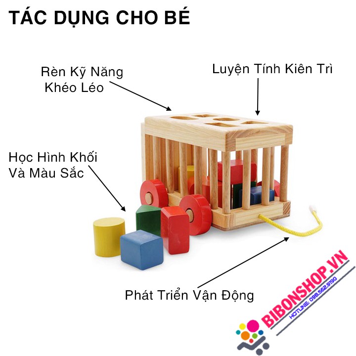 Ô Tô Thả Hình Khối Cho Bé Phát Triển Tư Duy - Đồ Chơi Việt Nam