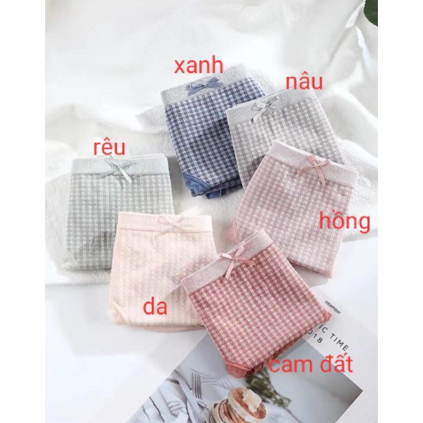 Set 5 chiếc Quần lót nữ xuất Nhật, quần chip nữ Cotton tăm co giãn 4 chiều | BigBuy360 - bigbuy360.vn