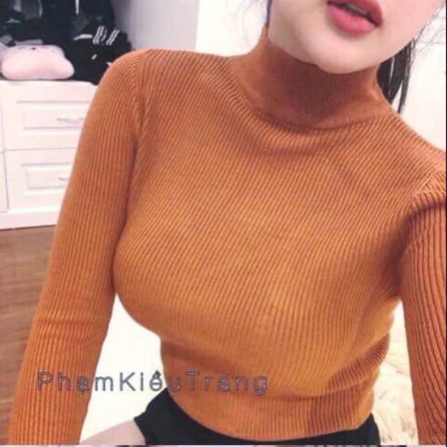 Áo thun gân cổ lọ 50k