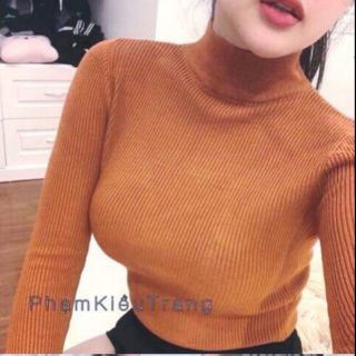 Áo thun gân cổ lọ 50k