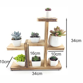 Giá trưng bày chậu cây mini, kệ trưng bày cỡ nhỏ