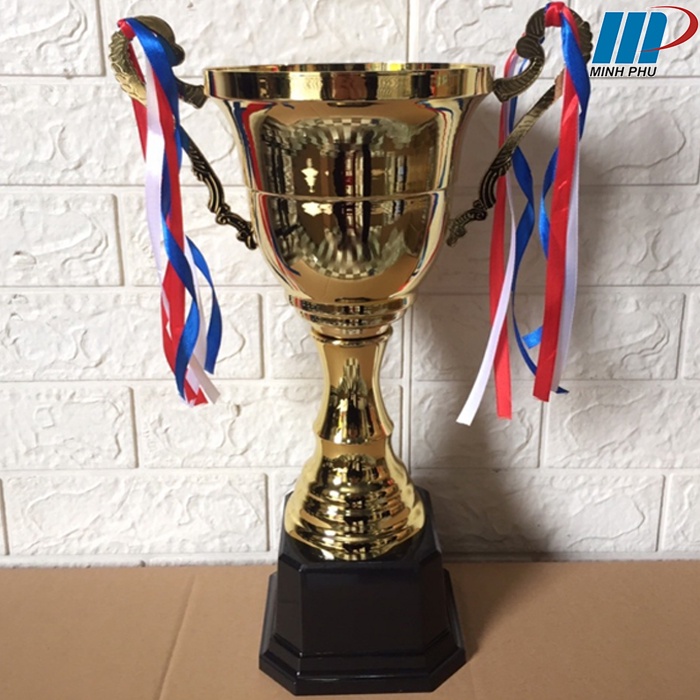 Cup kim loại giá rẻ VN2181 - Cup thể thao kim loại giá rẻ