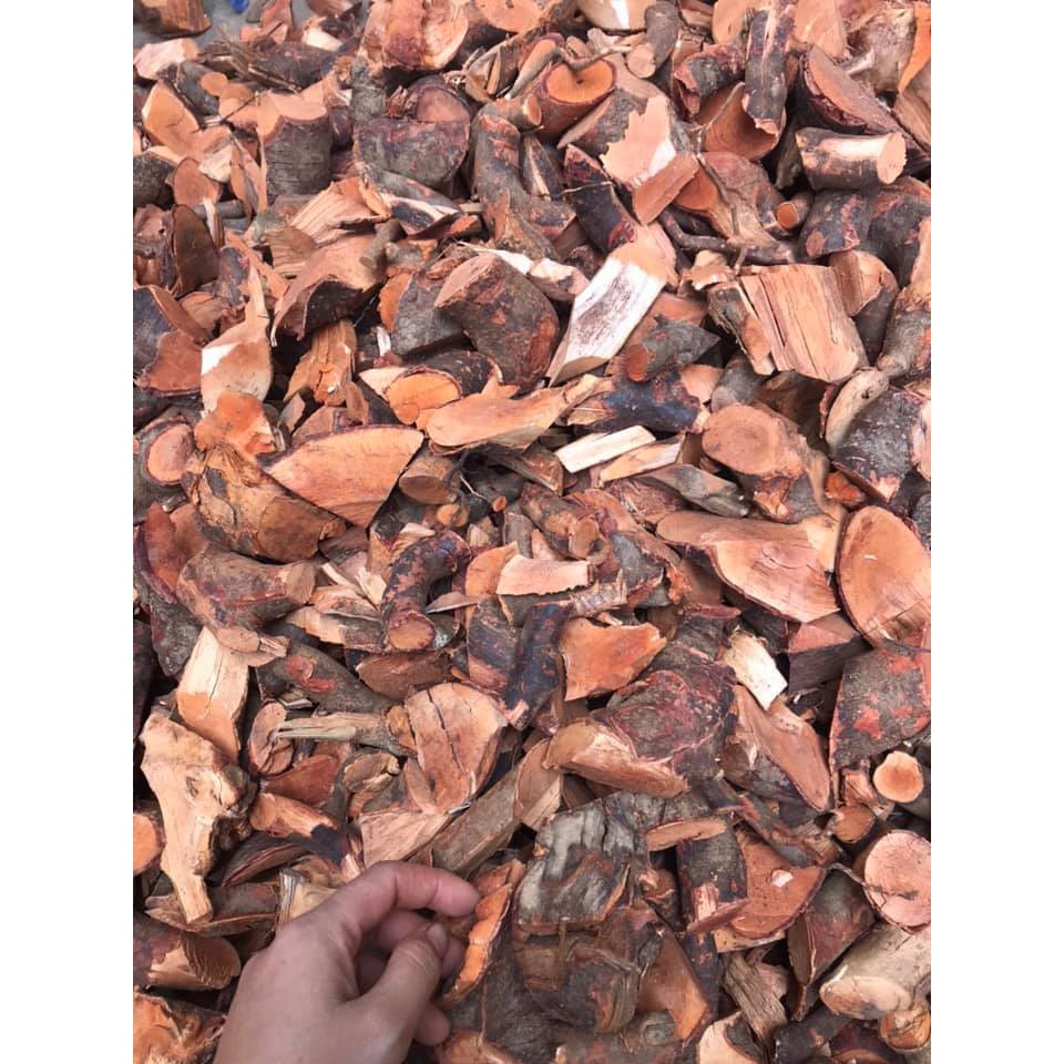 Rể cây mú từn - 100% rể cao cấp