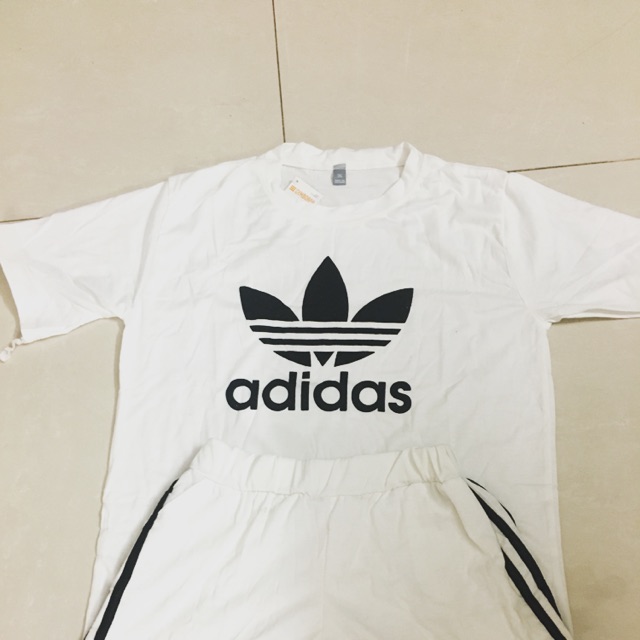 Bộ cotton co giãn 4 chiều(Sẵn hàng) | BigBuy360 - bigbuy360.vn