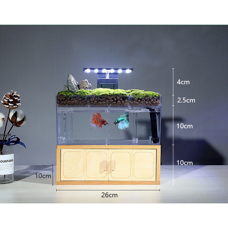[hot sale]Bể cá mini thủy sinh trang trí bàn làm việc