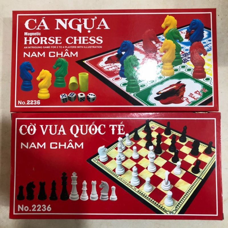 BỘ CỜ VUA, CÁ NGỰA NAM CHÂM
