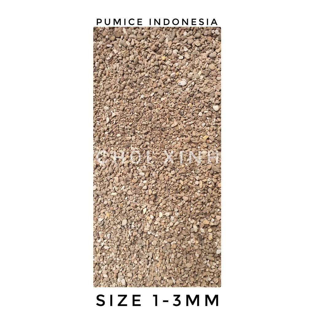 Đá Pumice Indonesia size 1-3mm
