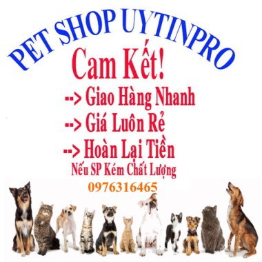 PET SHOP UYTINPRO