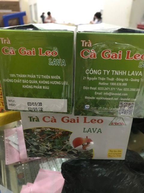 Trà Cà Gai Leo Lava hỗ trợ viêm gan B