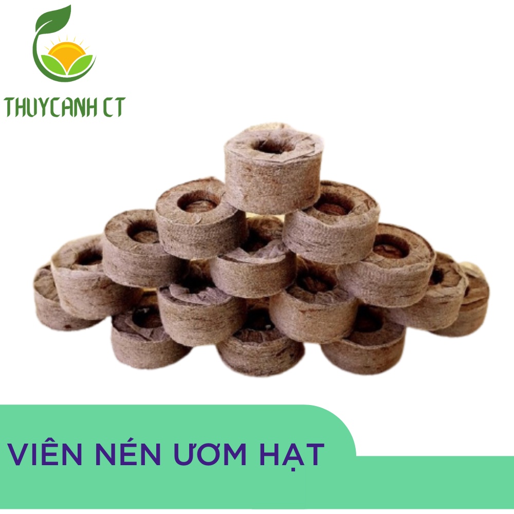 105 Viên nén xơ dừa, viên nén ươm hạt loại dày cao 60mm