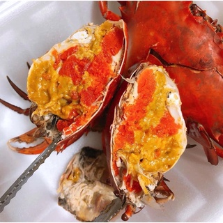 [Chỉ giao BIÊN HÒA] Cua Gạch Son Cà Mau tươi sống size 2 con/ 1 Kg BAO ĂN