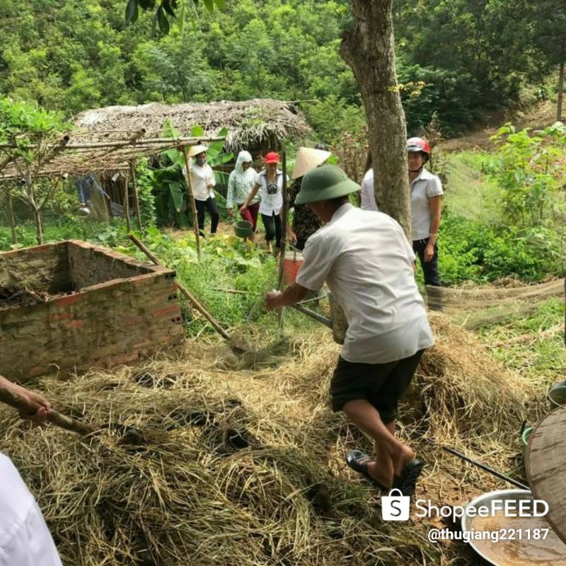 [Hàng có sẵn] chế phẩm vi sinh xử lý ủ phân (cá, đậu tương, rác nhà bếp...) 25k/gói