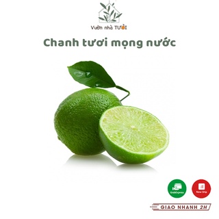 Chanh tươi mọng nước hàng mới mỗi ngày tại Vườn nhà Tươi