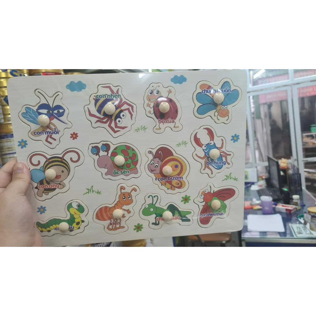Bộ ghép hình có núm gỗ