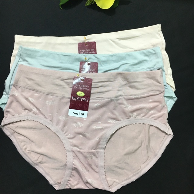 Set 10 Quần lót nữ Thịnh Phát lưng cao, quần chíp nữ cotton