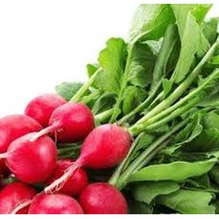 HẠT GIỐNG CỦ CẢI ĐỎ