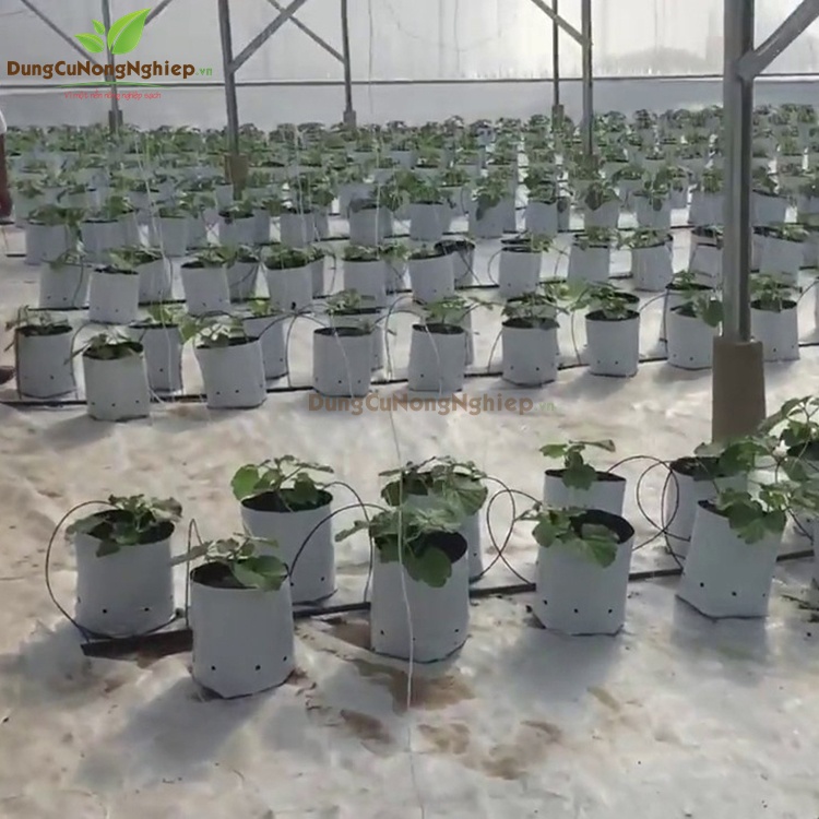 SET 10 CÁI Túi PE trồng cây, trồng rau, trồng hoa, 2 lớp, chống UV tiện lợi, độ bền 1,5 năm