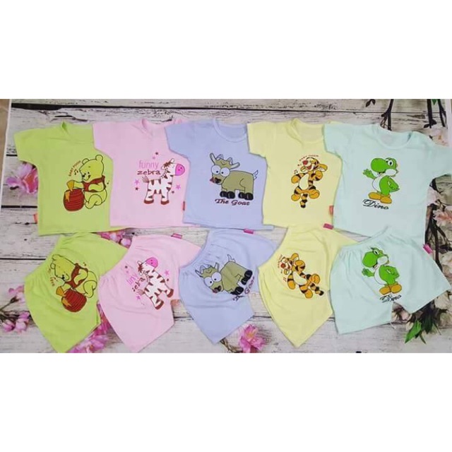 Combo cộc sỉ catter