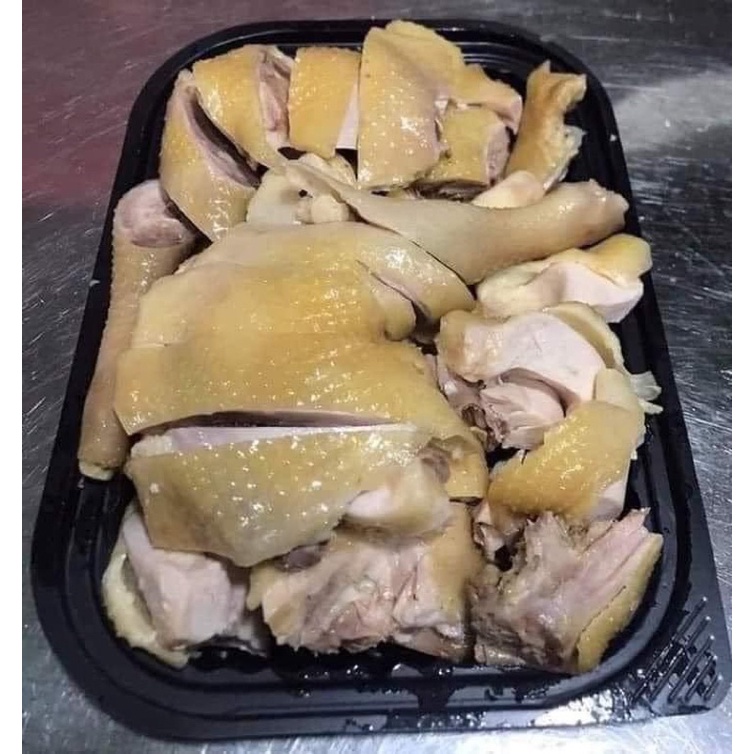 Gà dai nhập khẩu Hàn Quốc 🐣