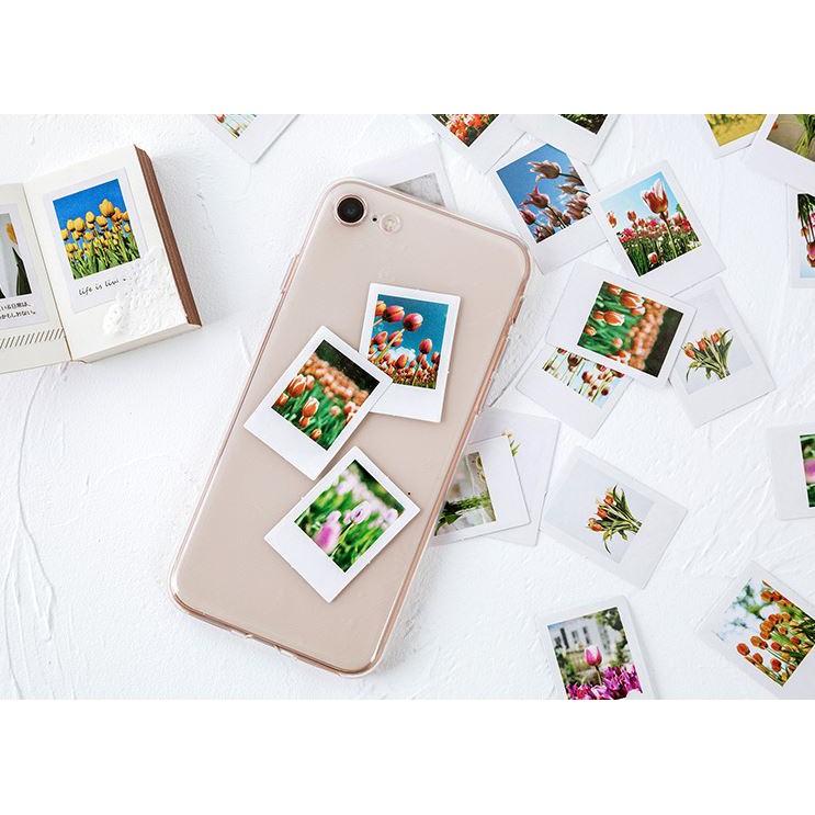 Bộ 46 Sticker Hoa Tulip Hà Lan E57