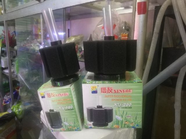 Sủi oxy bio - lọc vi sinh cho hồ cá cảnh