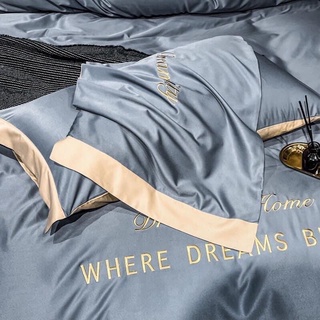 Set chăn ga 4 món phi lụa dream city