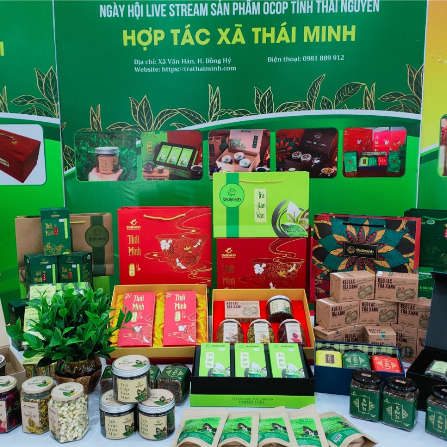 🌿CHÍNH HÃNG Trà Hoa Cúc Chi Sấy Lạnh Nguyên Bông Thái Minh, Hũ Thủy Tinh Cao Cấp 38g 50g an toàn thanh nhiệt tự nhiên