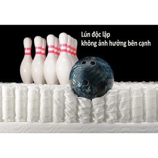 ĐỆM LÒ-XO TÚI CUỘN 24cm
