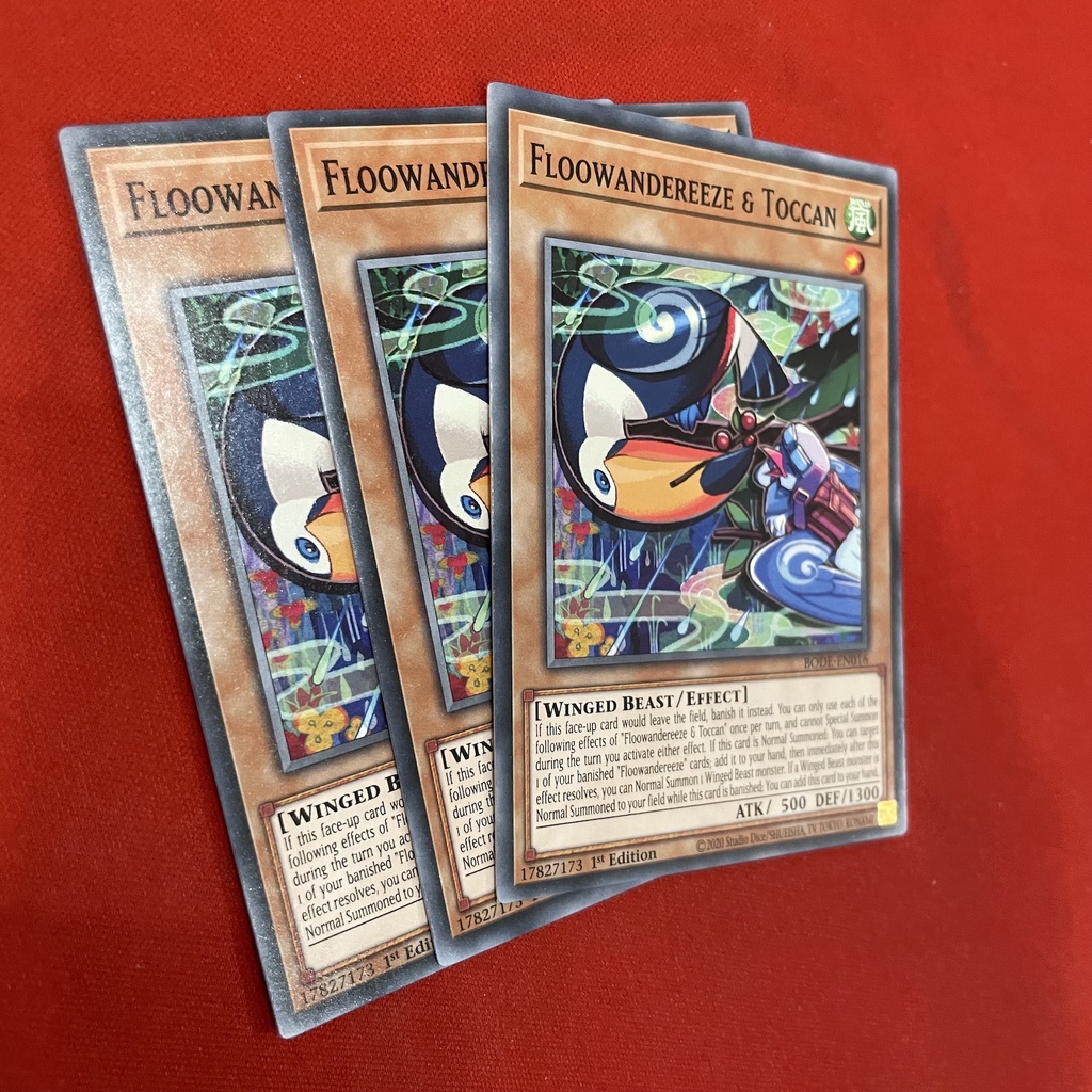 Floowandereeze & Toccan