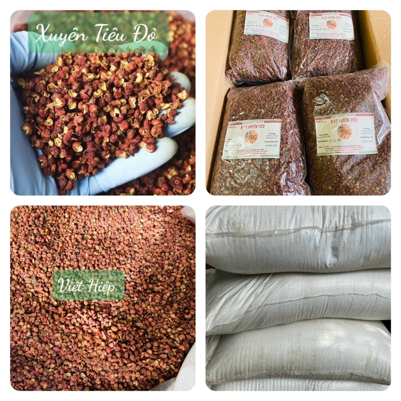 Xuyên Tiêu/Hoa Tiêu Việt Hiệp