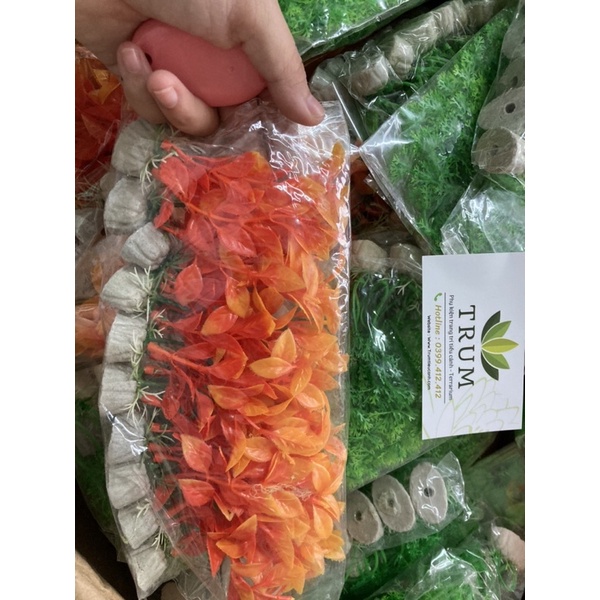 Cây kiểng nhựa trang trí hồ cá thuỷ sinh