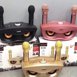 LOA BLUETOOTH KARAOKE SD306 - SD301 - SD 309