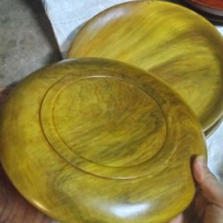 Đĩa gỗ bách xanh