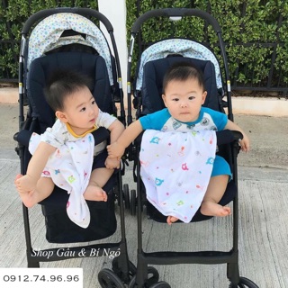 Xe đẩy Aprica Karoon Plus
