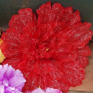 Hoa múa- hoa mẫu đơn đại 60cm