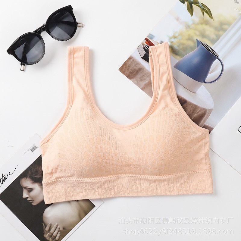 Áo Lót Nữ Cotton Đệm Mỏng Mềm Thoải Mái, Áo Bra Nữ Tập Gym Mặc Cực Đẹp Hieu Store24h - 7702